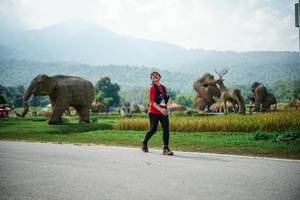 BIB: 
                            <button type="button" onclick="openModal(22436761)" class="btn btn-primary btn-sm float-right btn-popup" data-toggle="modal" data-target=".modal-high-quality">
                        <i class="fas fa-shopping-cart"></i> Add to Cart
                    </button>
                                            <button type="button" onclick="isThisMe(22436761, true)" class="btn btn-success btn-sm float-right btn-popup btn-isme hidden" data-toggle="tooltip" data-placement="bottom" title="นี่คือรูปของคุณใช่ไหม คลิกที่นี่เพื่อเอาเข้าอัลบั้ม">
                        <i class="fas fa-plus"></i> Add to album
                    </button>
                    <button type="button" onclick="isThisMe(22436761, false)" class="btn btn-warning btn-sm float-right btn-popup btn-isnotme hidden">
                        <i class="fas fa-ban"></i> Remove from album
                    </button>